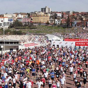 City to surf
